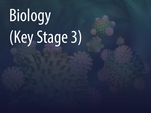 Biology (Key Stage 3)